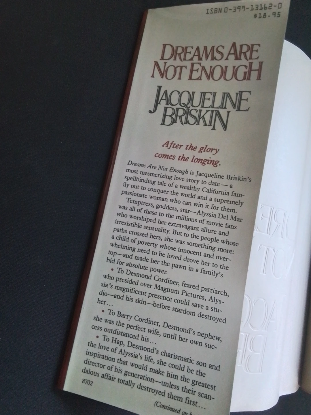 Dreams Are Not Enough by Jacqueline Briskin - photo 3