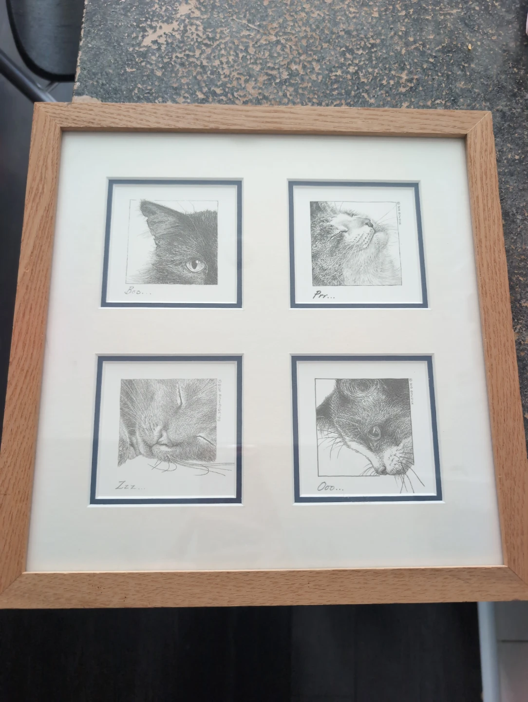 Bob Bowdige Cat Prints Framed Wall Art