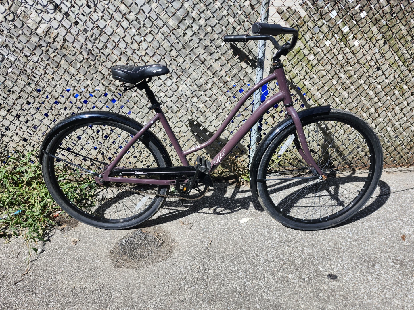 Capix Valencia Cruiser Bicycle - photo 4