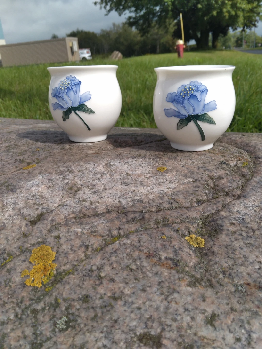 🍶 Vintage Japanese Porcelain Sake Cups - Set of 2