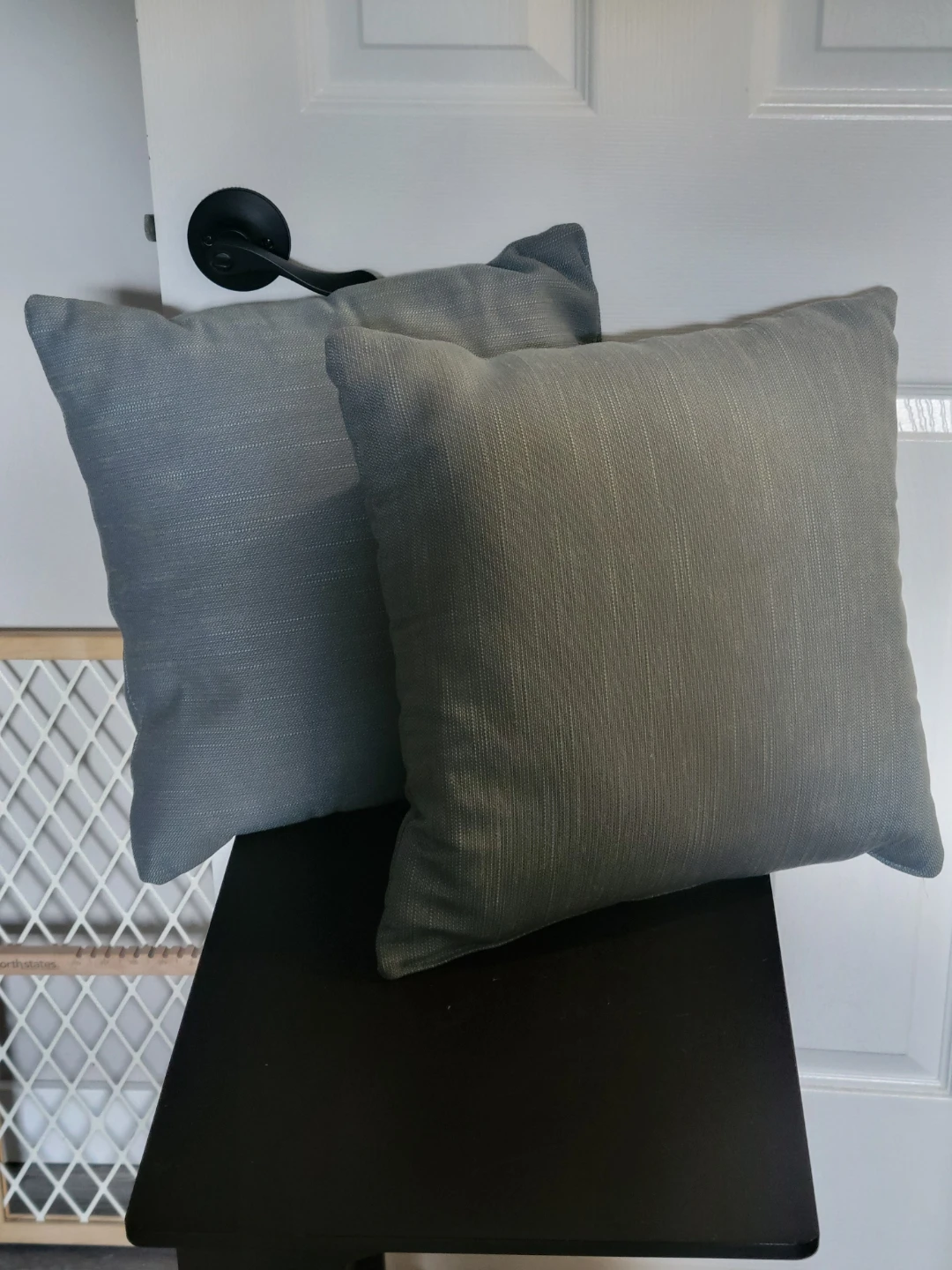 2 Accent Pillows