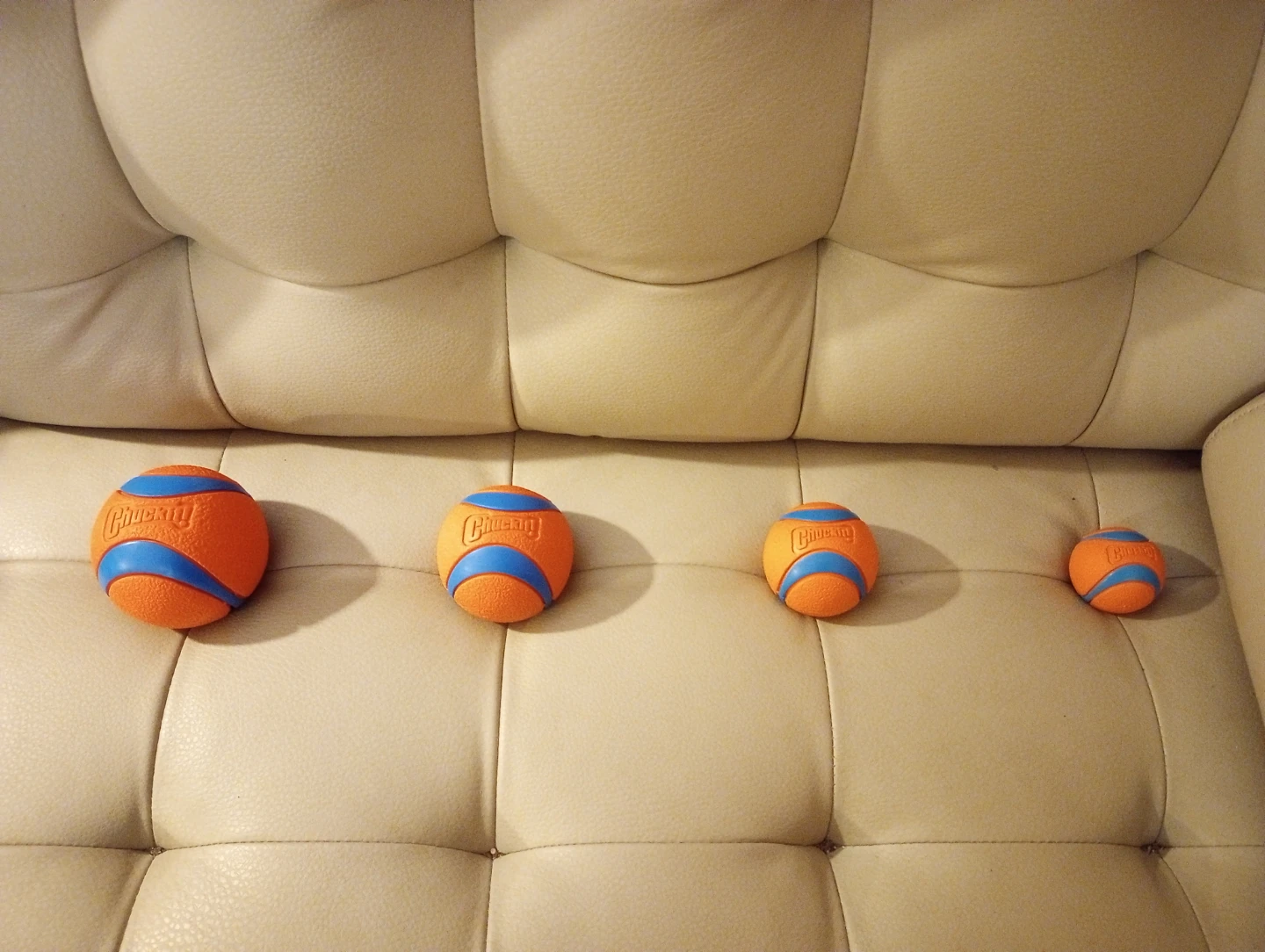 Unused Chuck It Dog Balls
