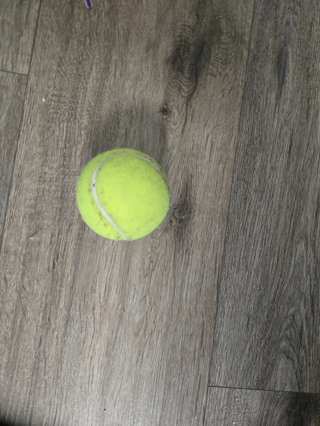 Yellow Tennis Ball 🏈