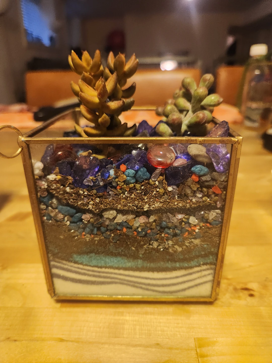Glass Terrarium with Succulents