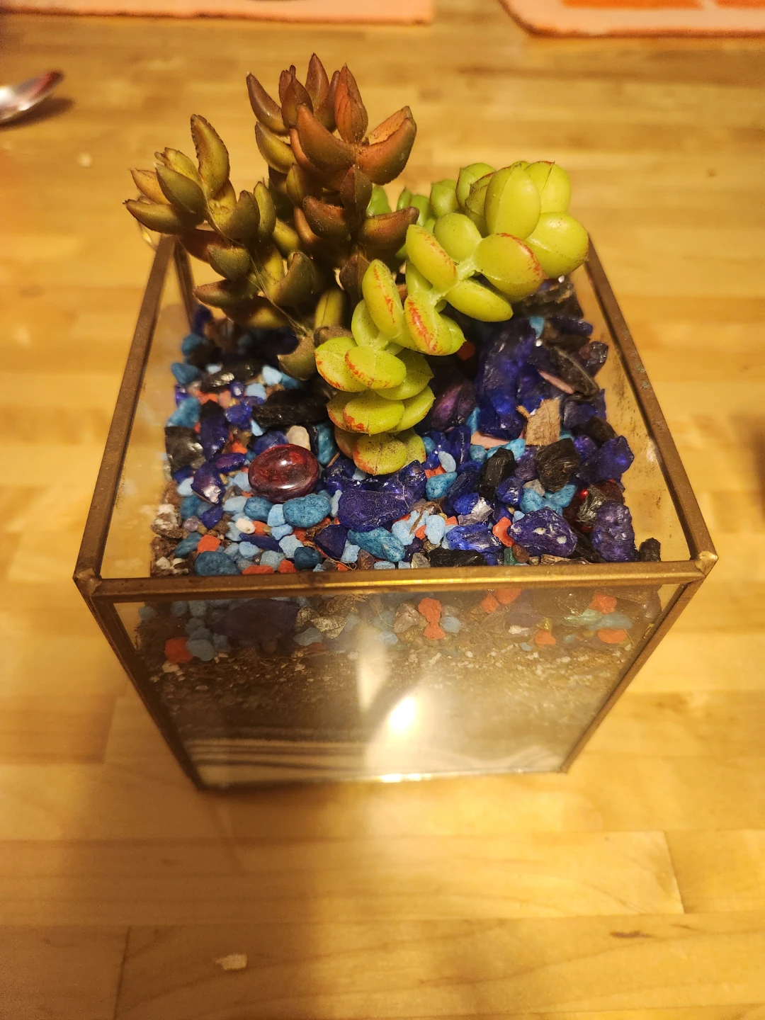 Glass Terrarium with Succulents - photo 2