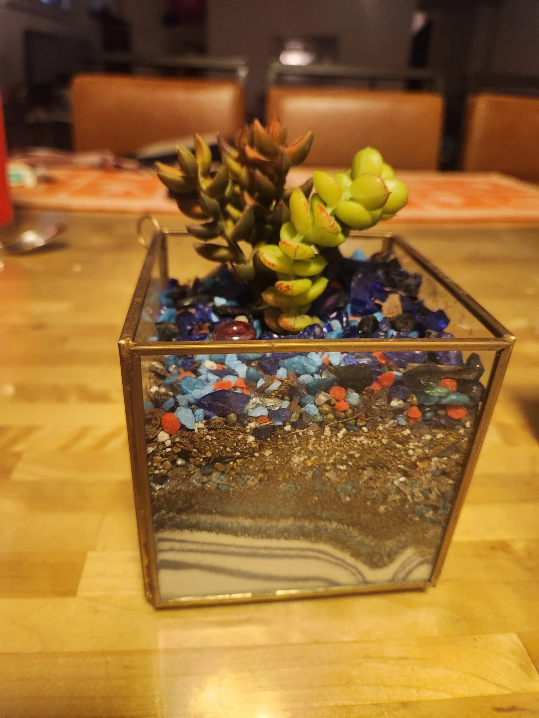 Glass Terrarium with Succulents - photo 3