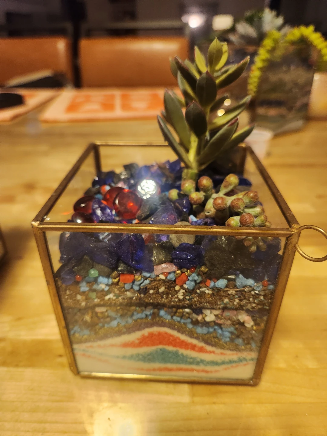 Glass Terrarium with Succulents - photo 5