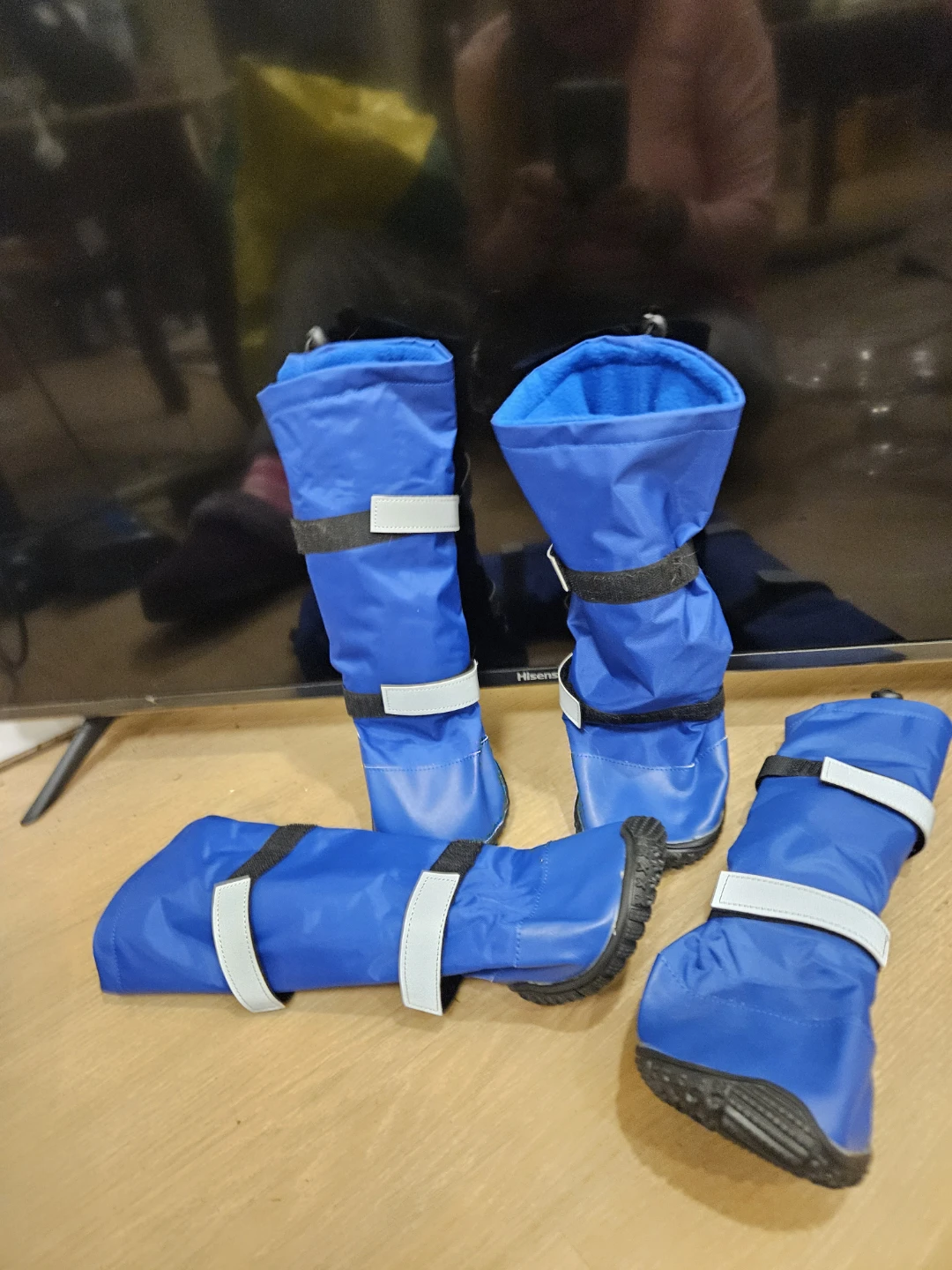 Set of four blue dog boots - photo 2