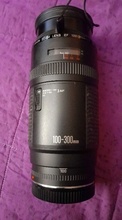 Canon Zoom Lens EF 100-300mm - photo 3