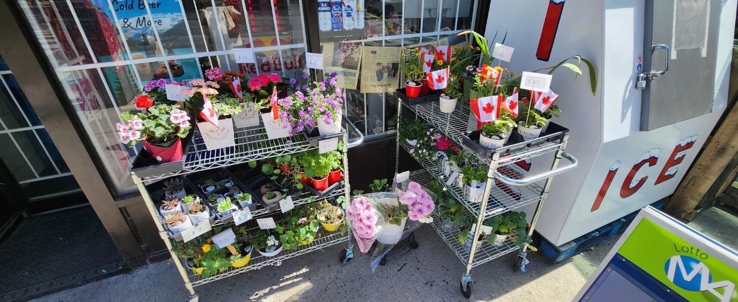 Neighborhood Garden Market  Sale