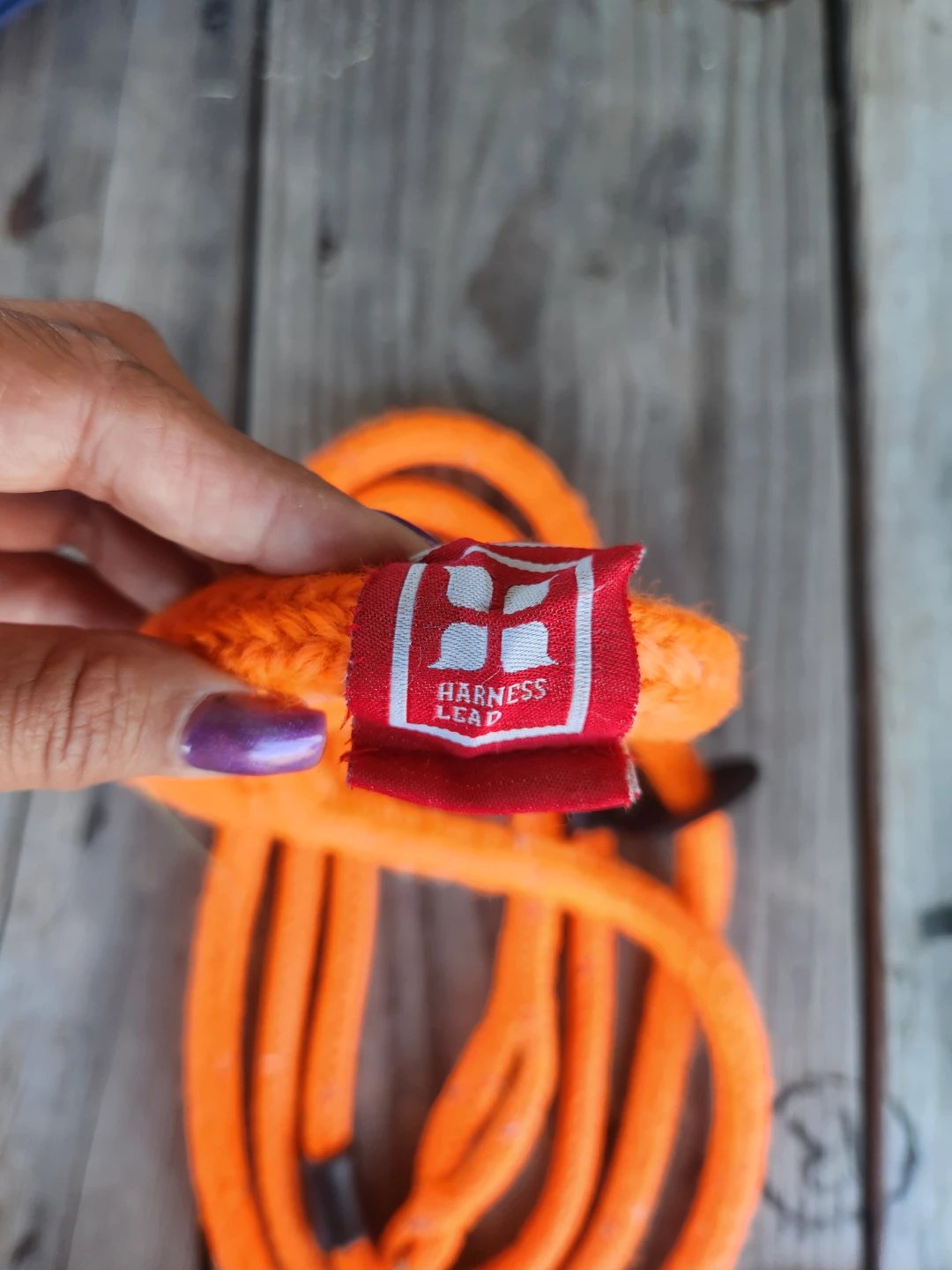 Harness Lead dog leashes - Available in Green and Orange - photo 4