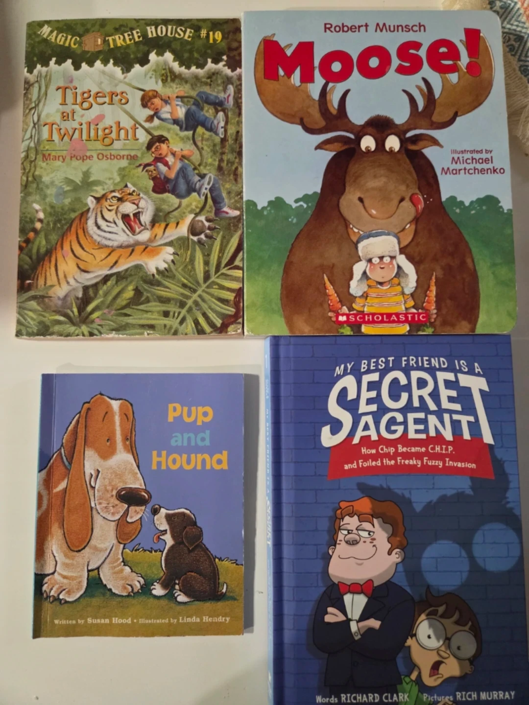 Set of 4 Children's Books