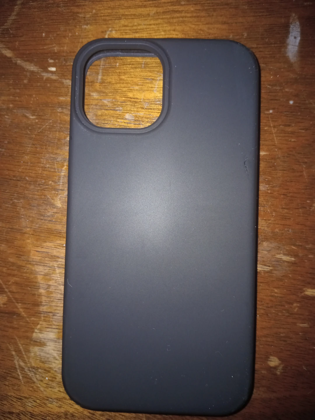 iPhone 13 Pro Max Case
