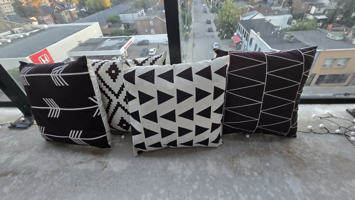 Set of 4 outdoor Throw Pillows
