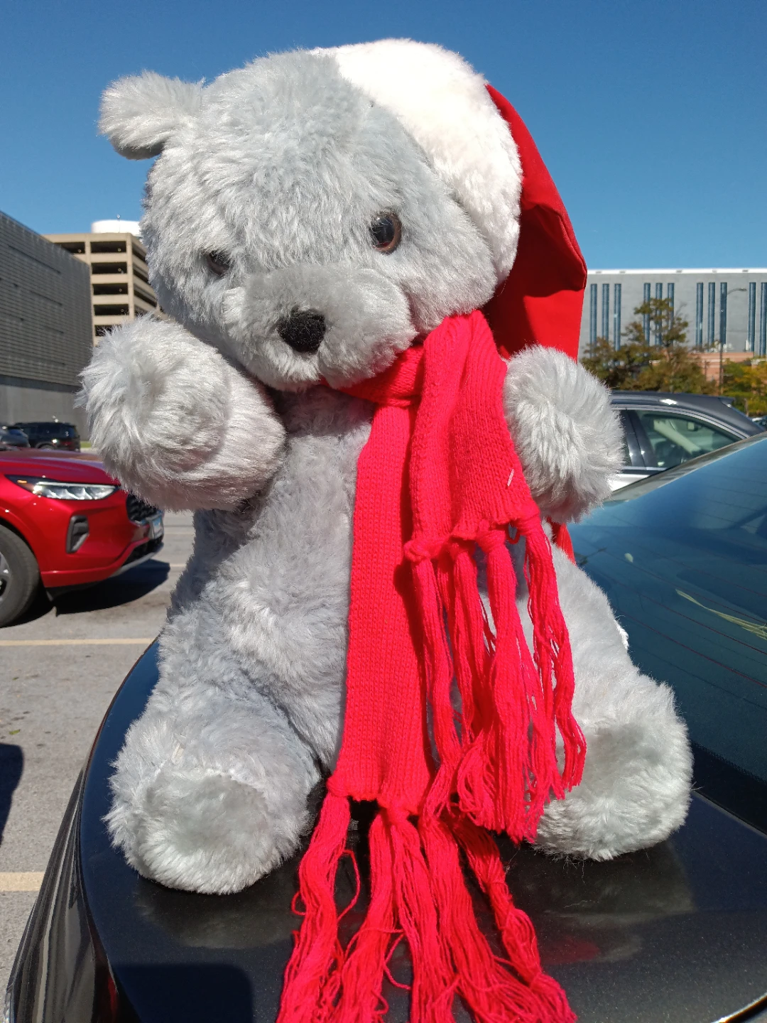 Plush Gray Christmas Teddy Bear