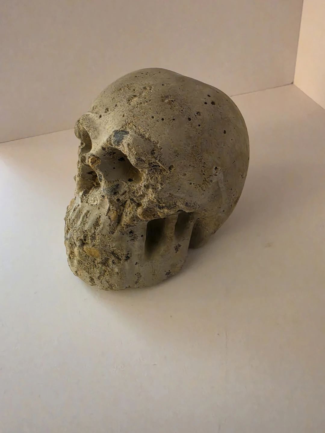 Decorative Concrete Skull Sculpture - photo 2