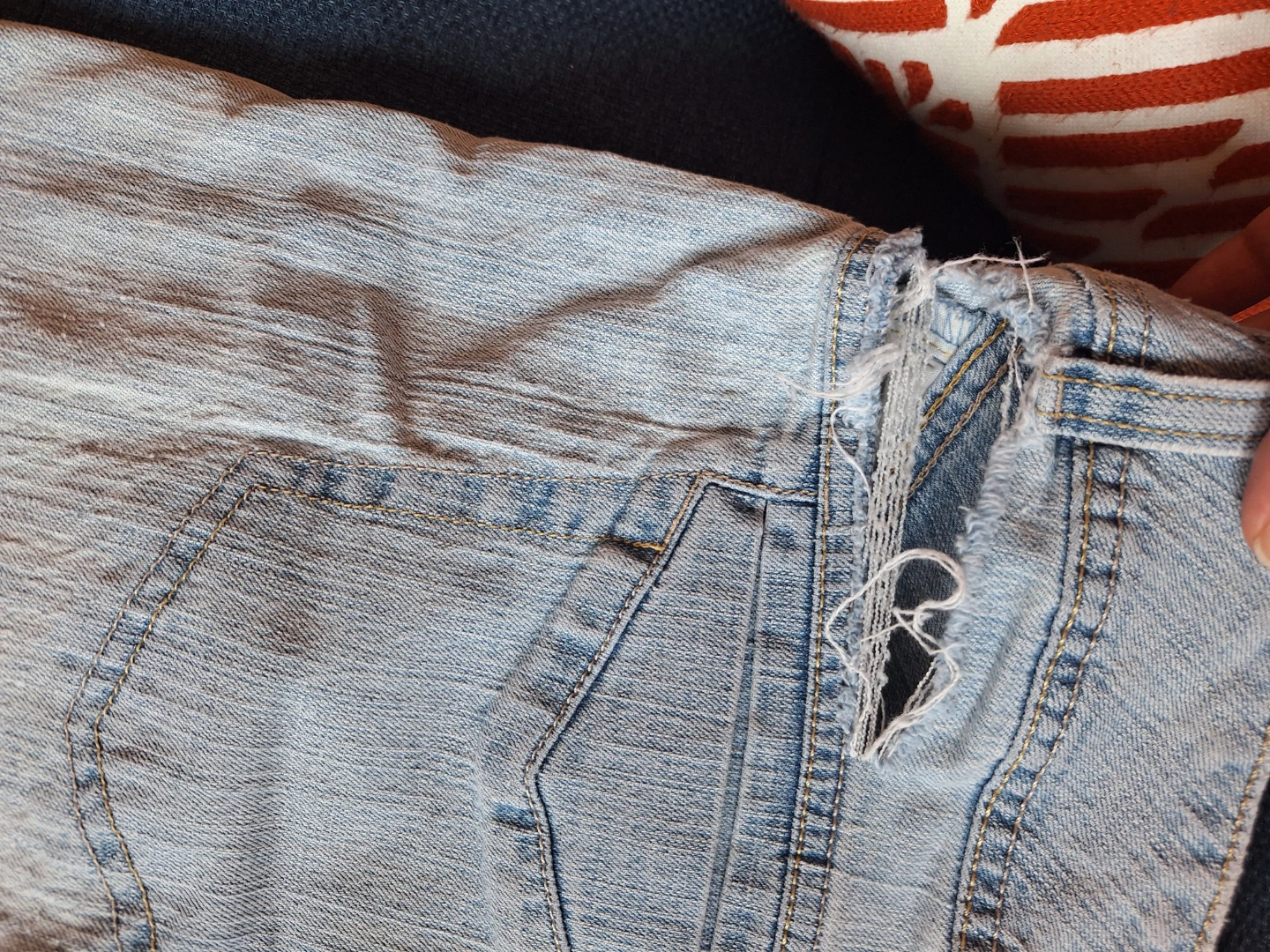 Cherokee light wash capris sz20W - photo 4