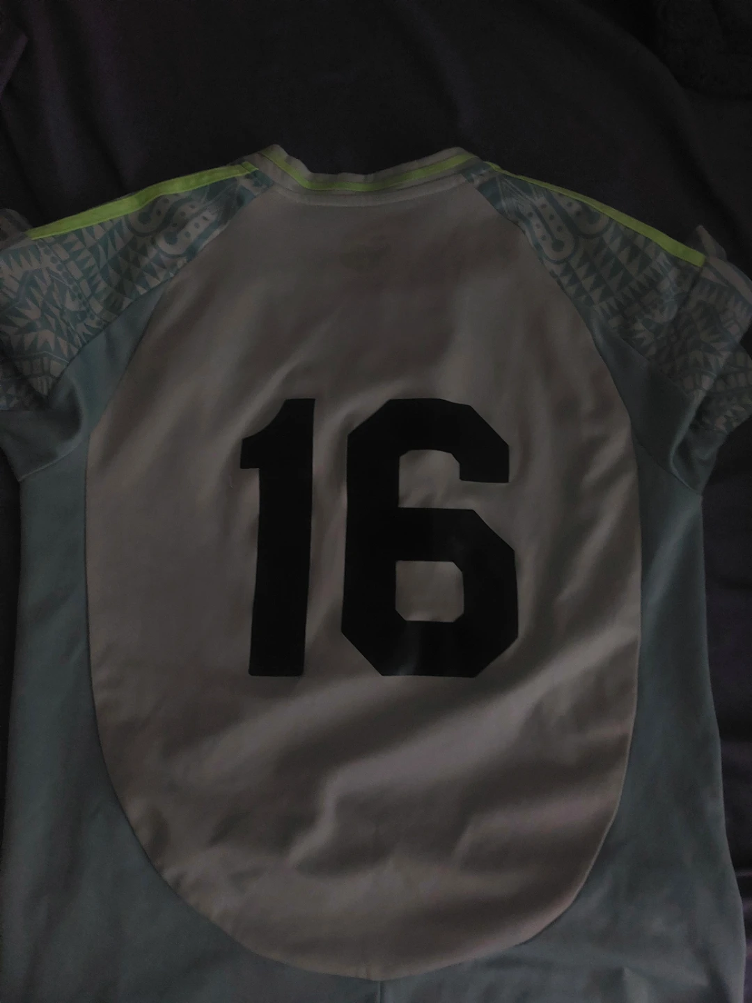 Mexico National Team Soccer Jersey and Manchester united - photo 2