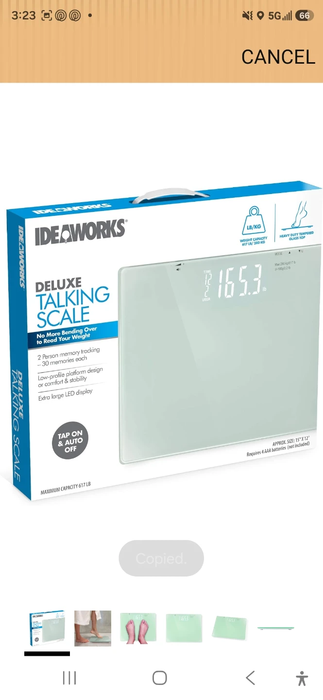 Ideaworks Deluxe Talking Scale