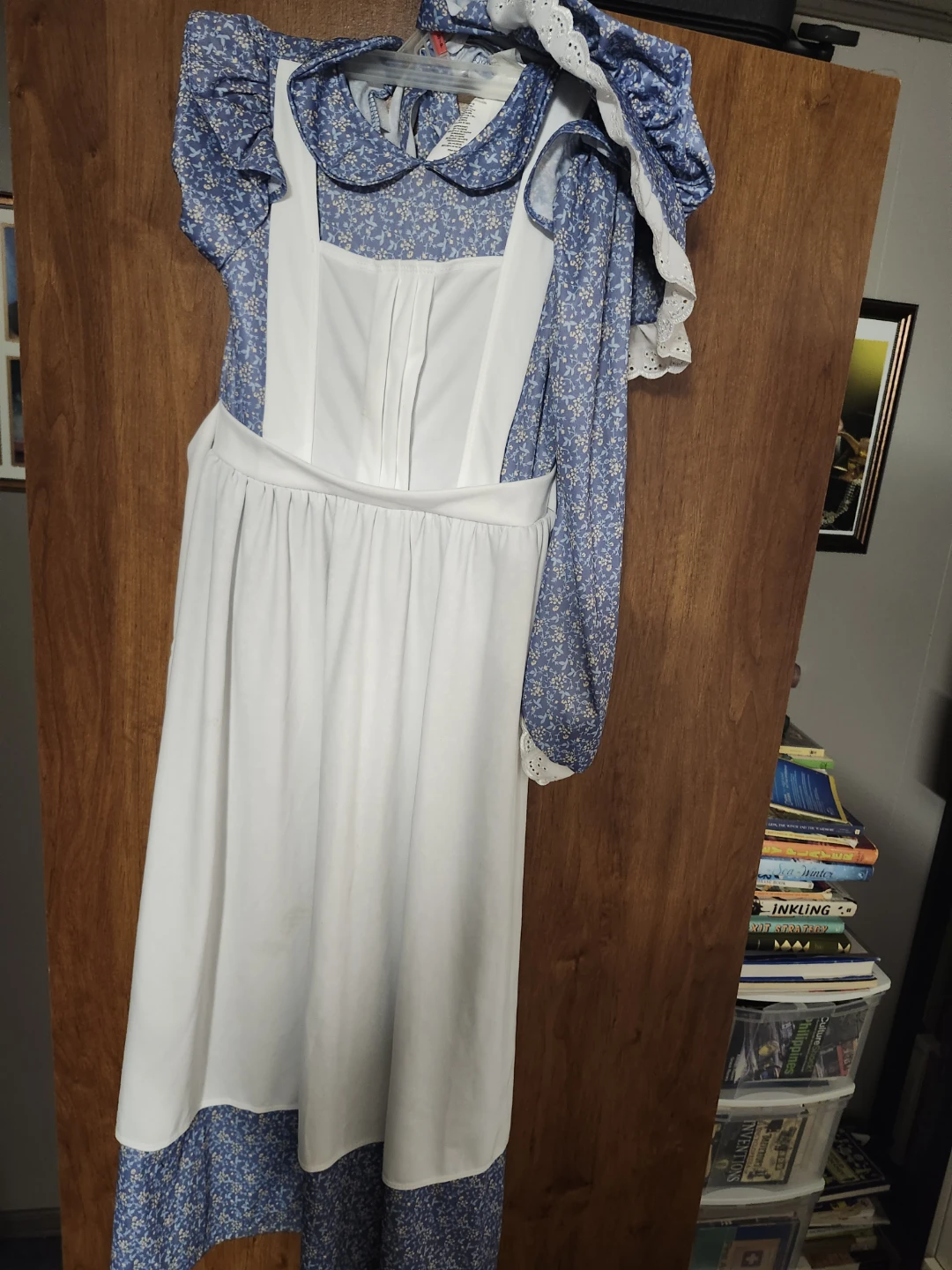 California Costumes Pioneer Girl Costume with Bonnet