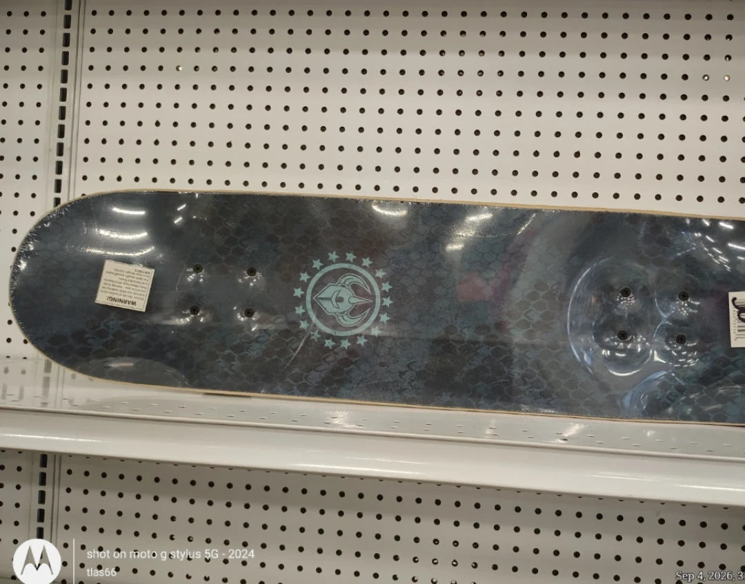 Darkstar Skateboard 31-inch