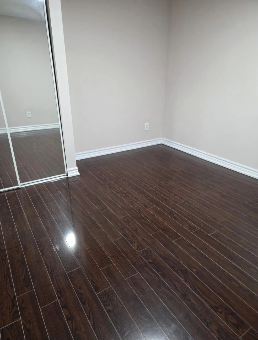 Spacious & Newly renovated 2 bedroom basement apartment - photo 5