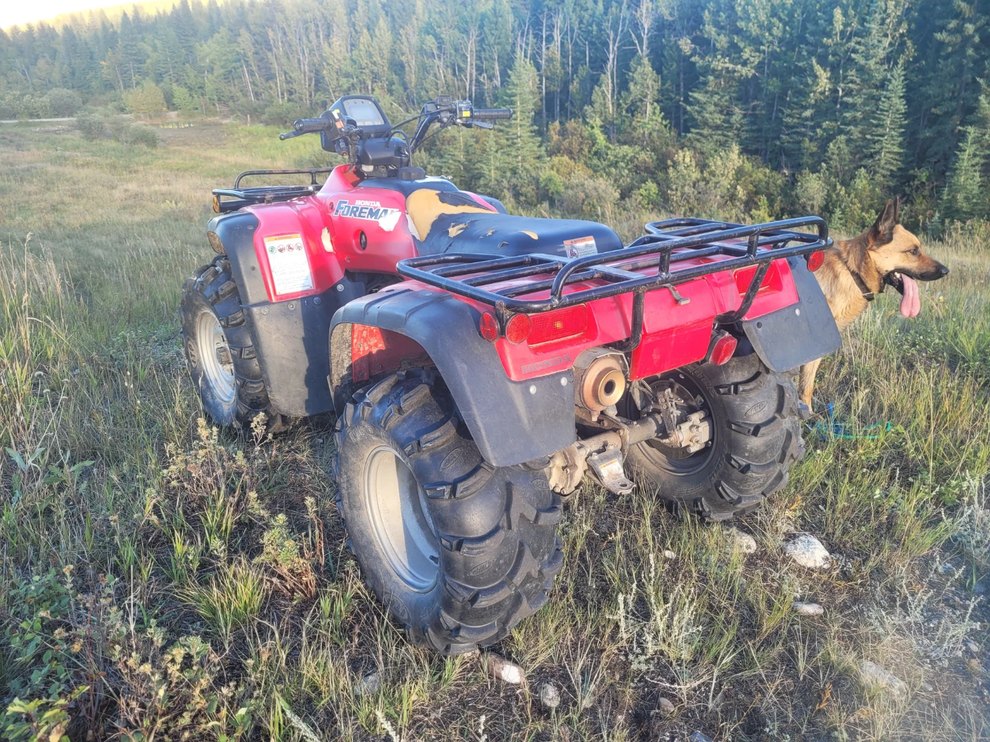 2004 Honda 450 Foreman - photo 3