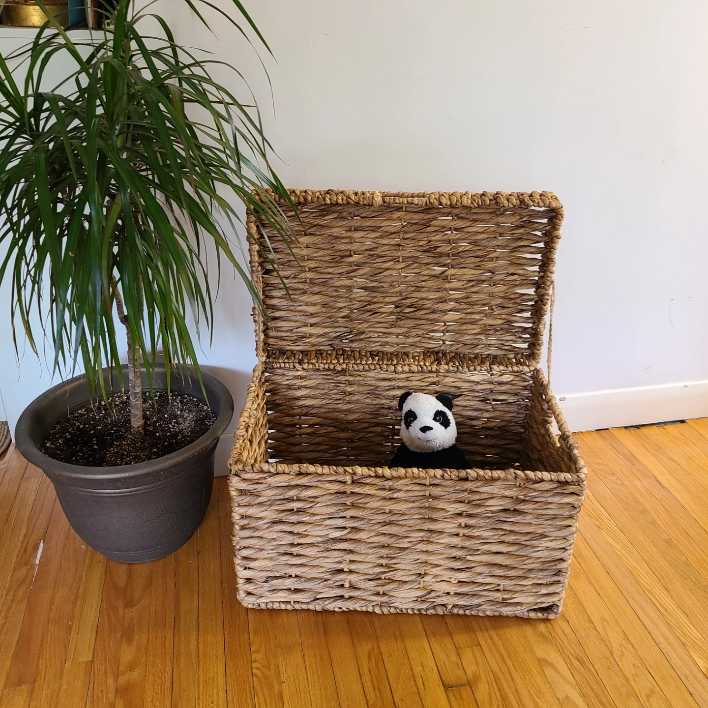 Woven Seagrass Storage Basket with Lid - photo 4