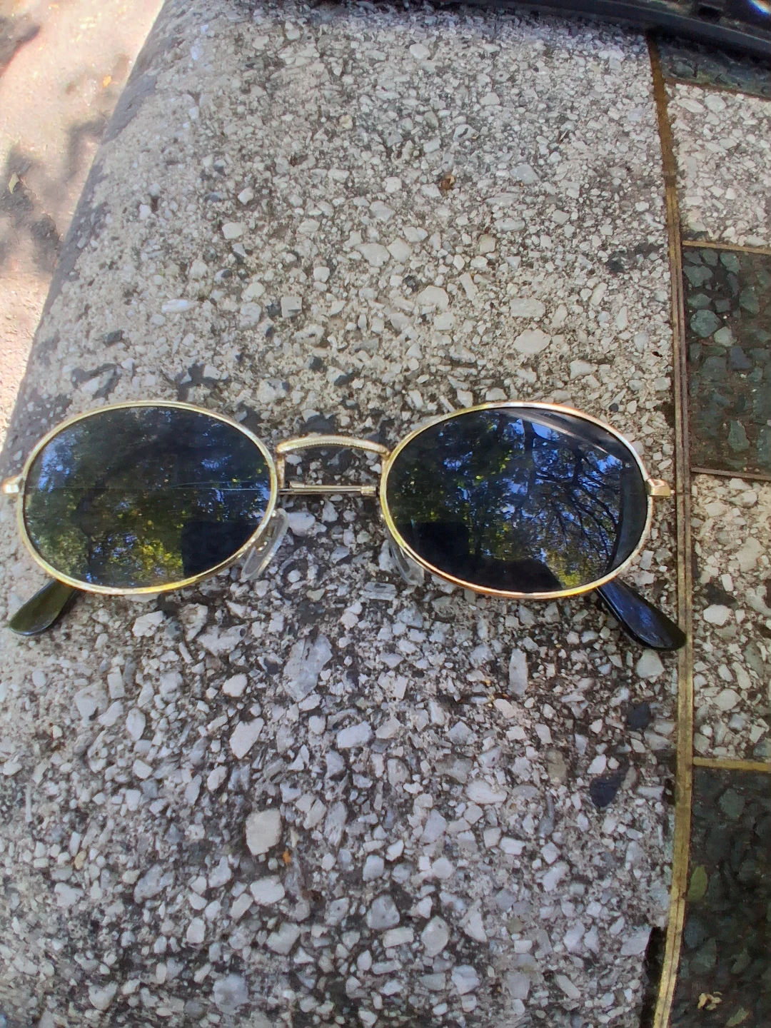 Oval Sunglasses with Carrying Case - photo 2