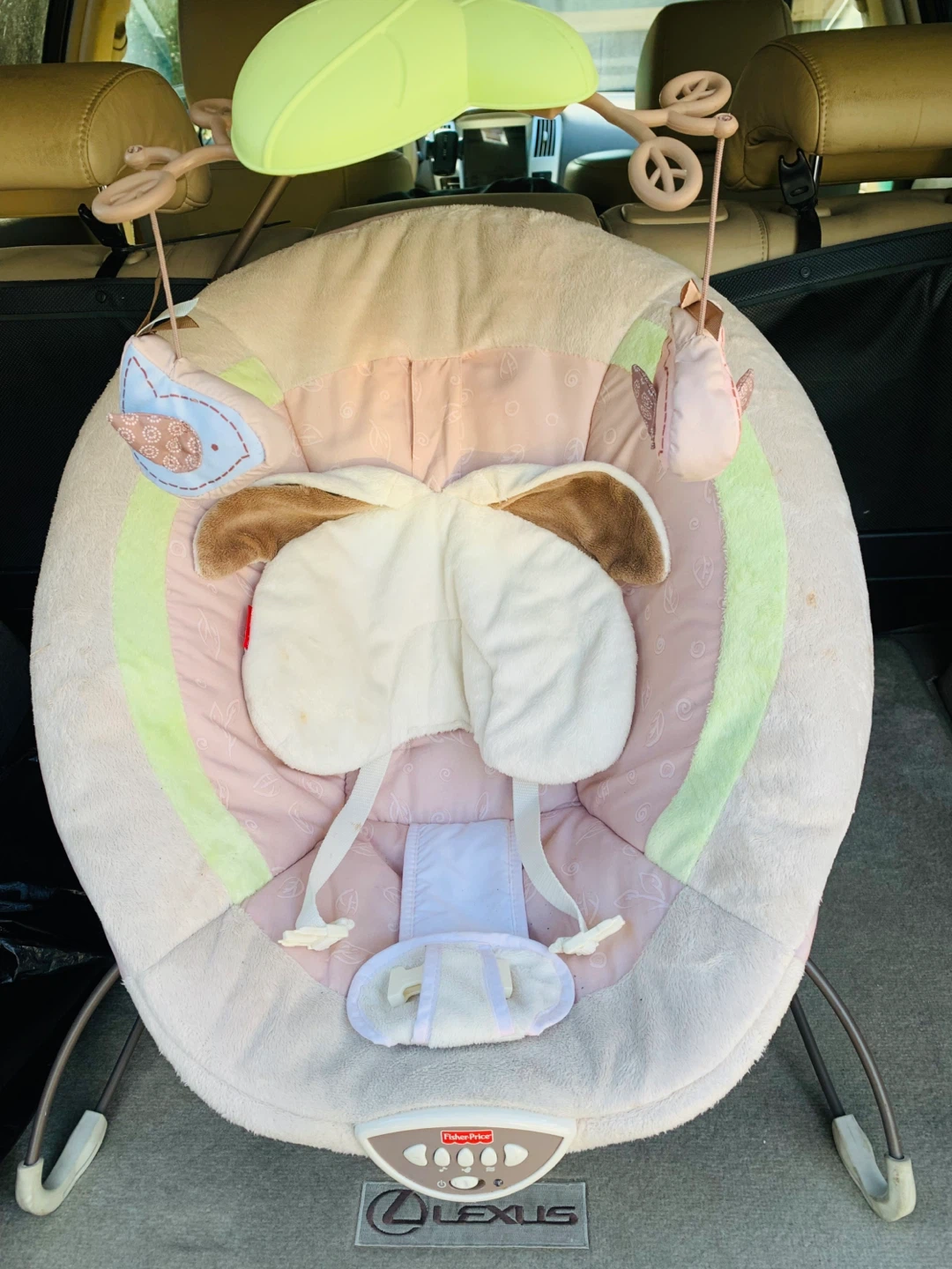 Fisher-Price baby bouncer