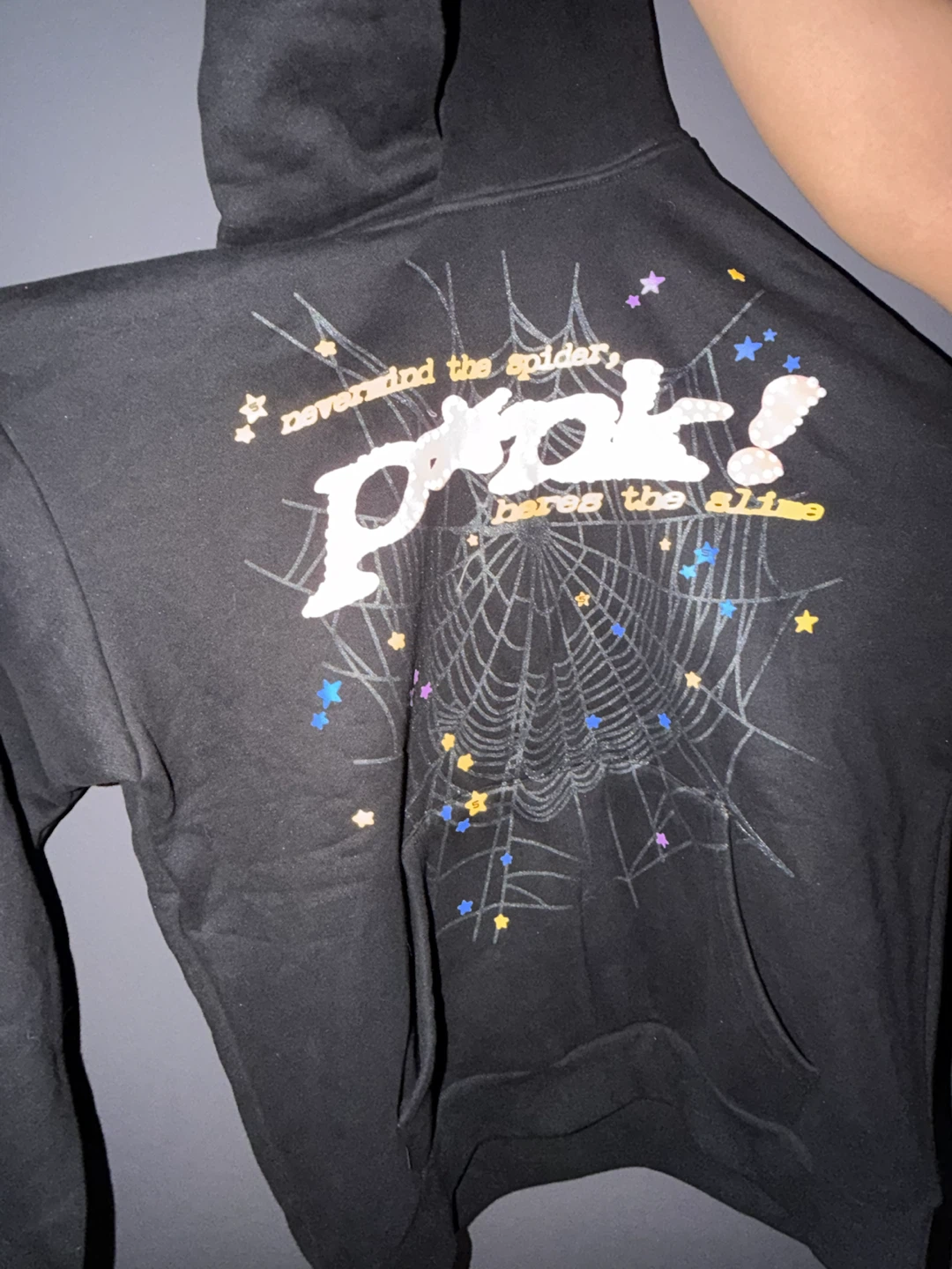 Spiderweb Graphic Hoodie