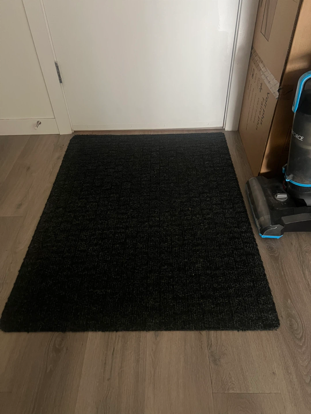 Black indoor area rug