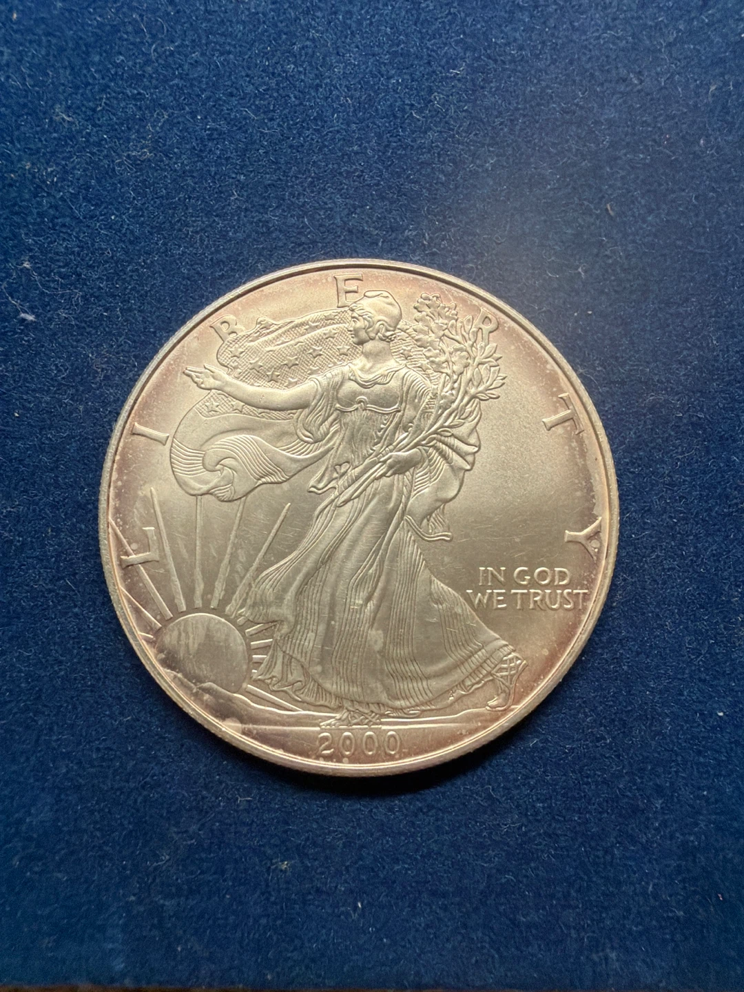 2000 American Silver Eagle Coin