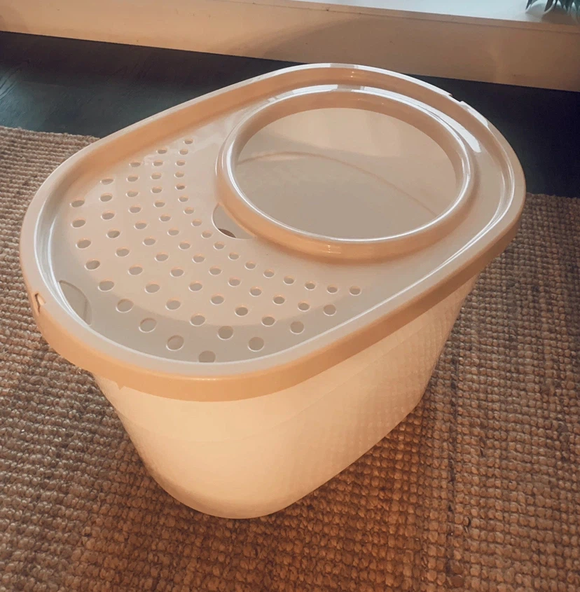 Top-Entry Cat Litter Box
