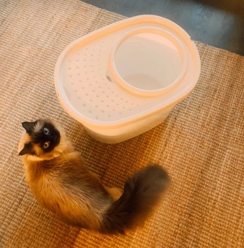 Top-Entry Cat Litter Box - photo 2