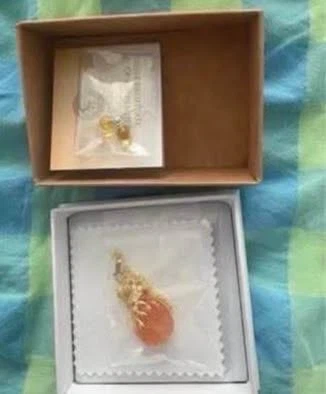 Amber earrings & Amber necklace (New) (Both together for $10)