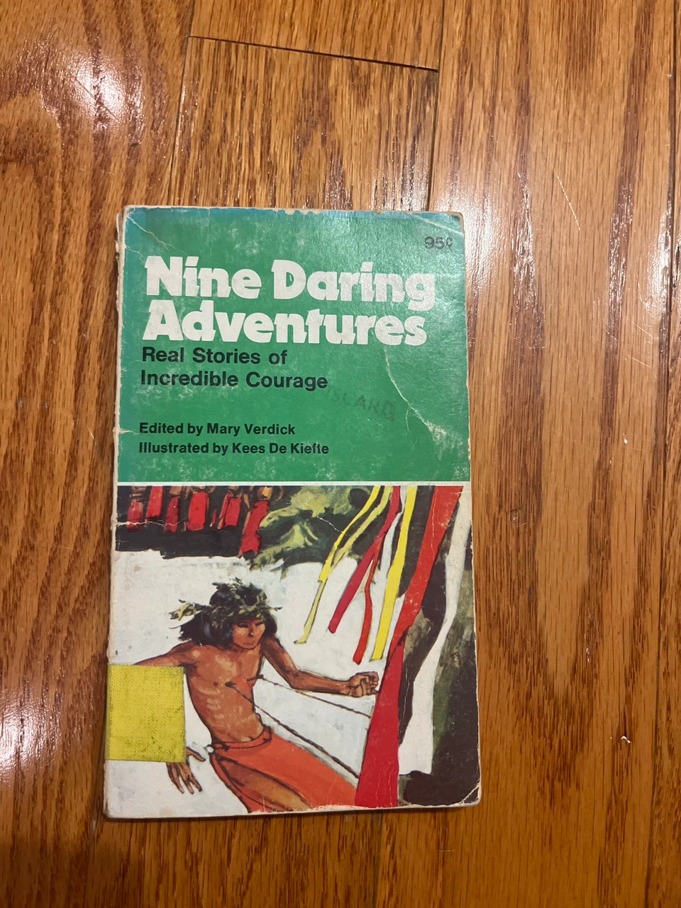 Nine Daring Adventures Real Stories of Incredible Courage Book