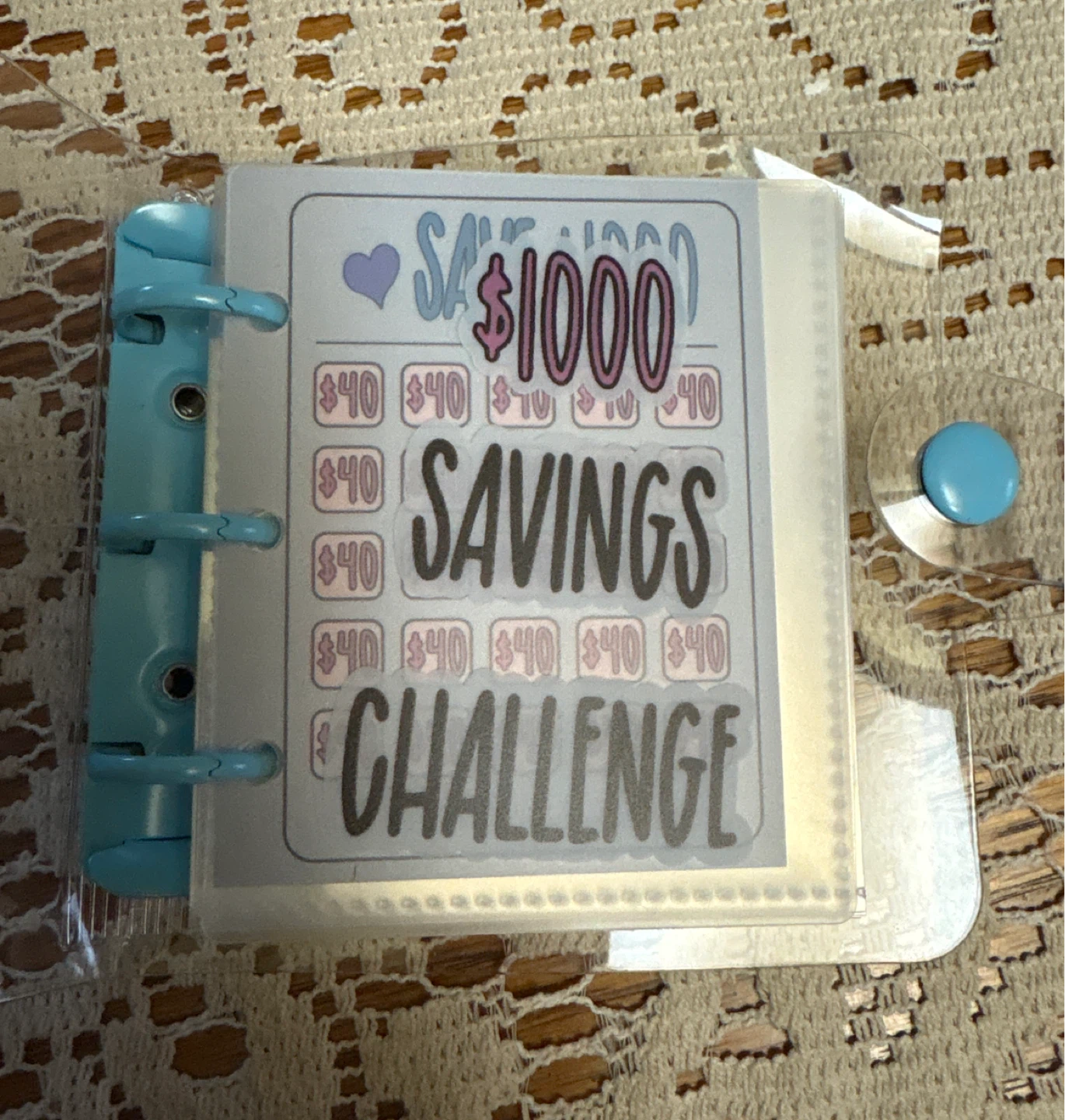 Mini Binder Savings Challenge