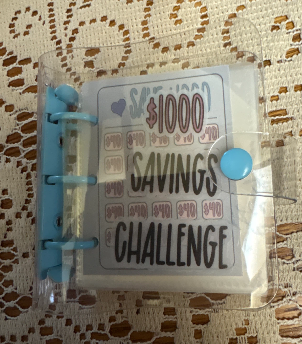 Mini Binder Savings Challenge - photo 2