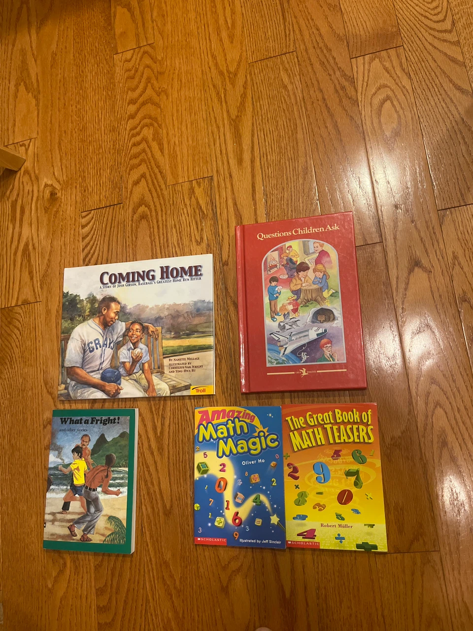 Set of 5 Children's Books: Coming Home, Math Teasers, etc.