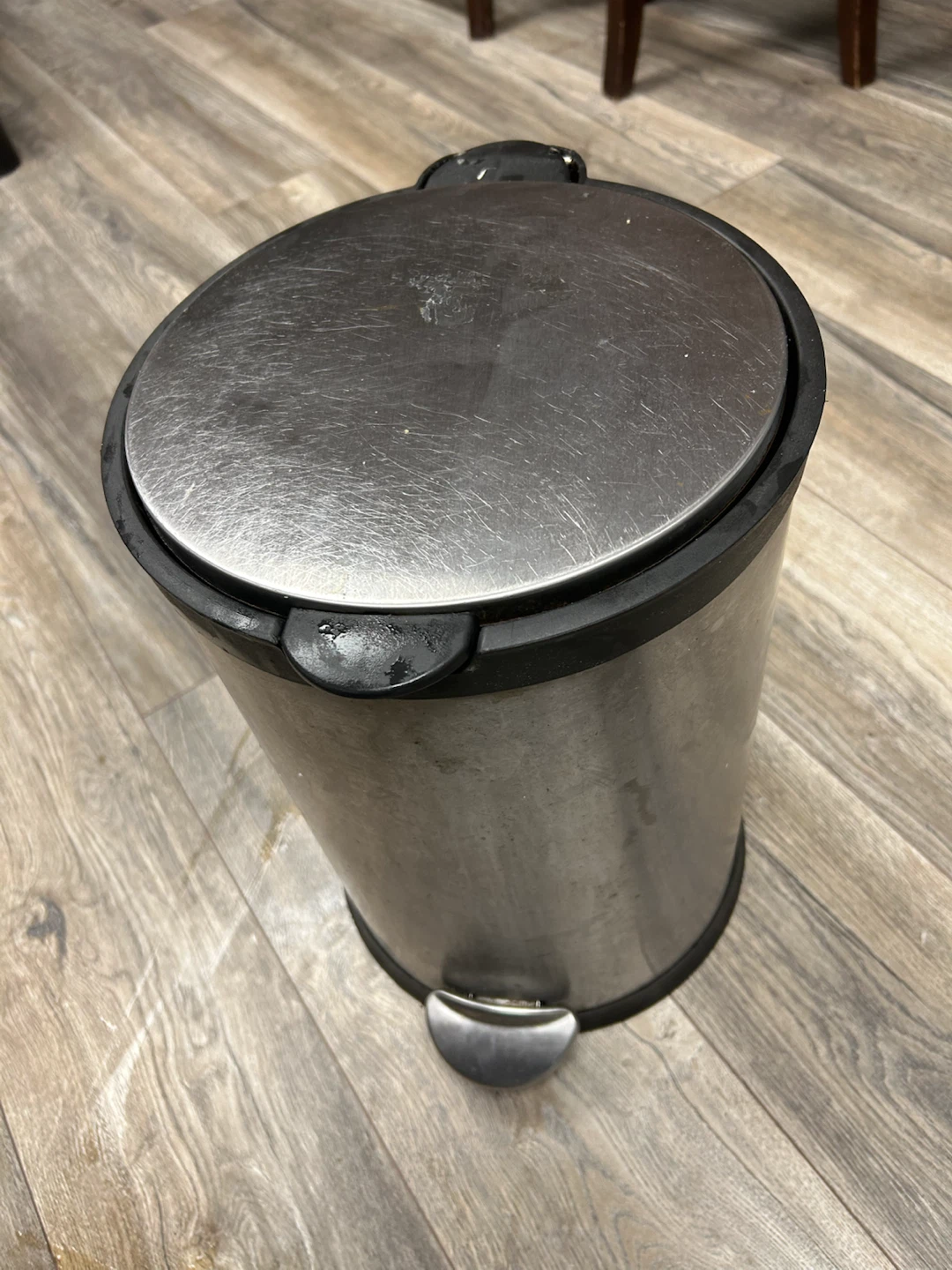 Stainless Steel Step Trash Can