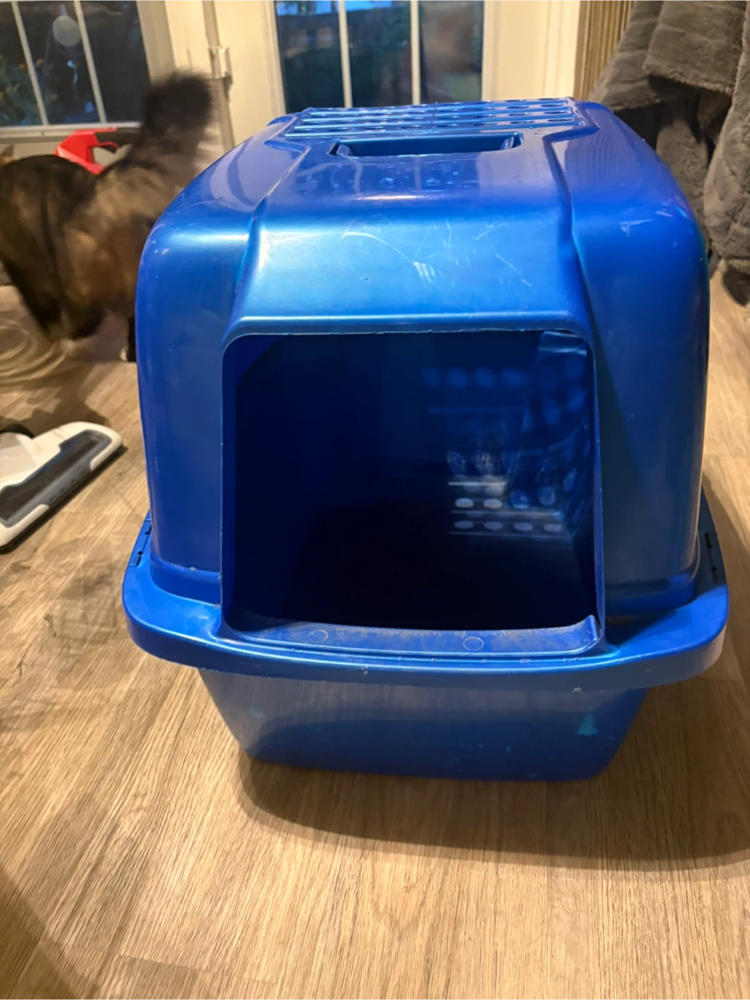 Blue enclosed cat litter box