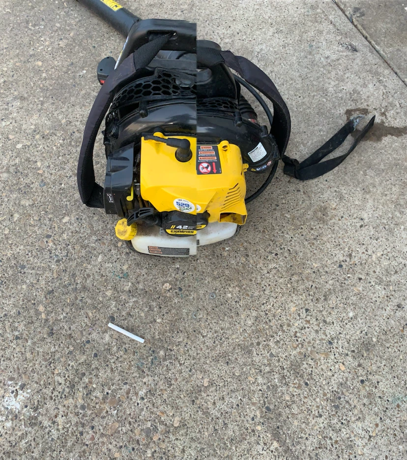 Echo Backpack Blower