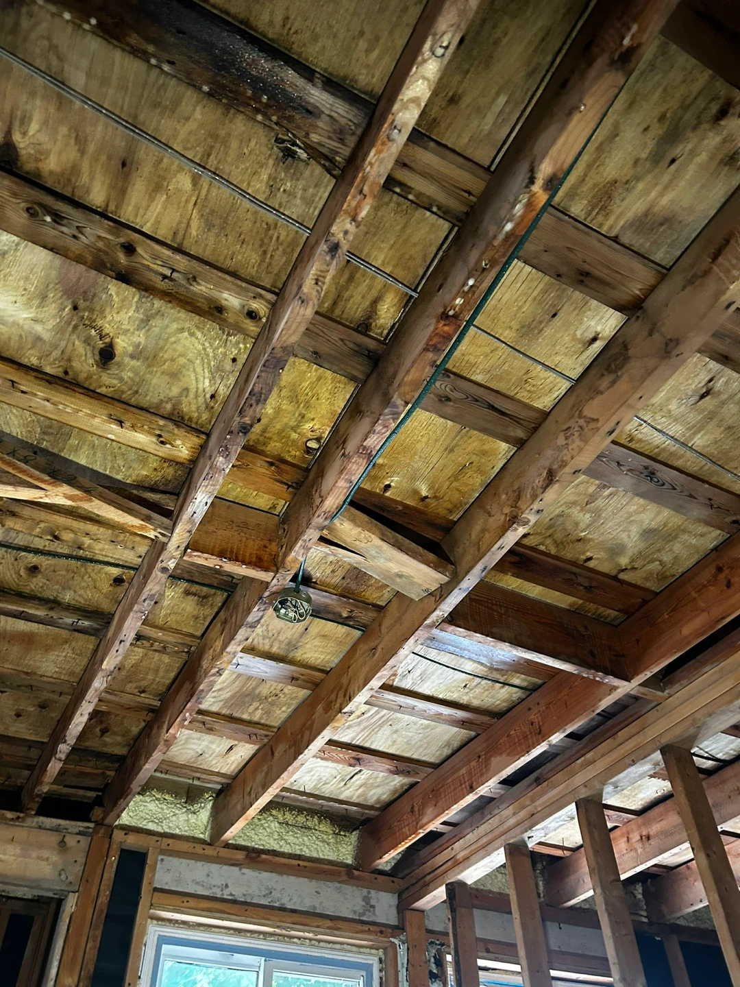 Professional Mold Remediation - photo 2