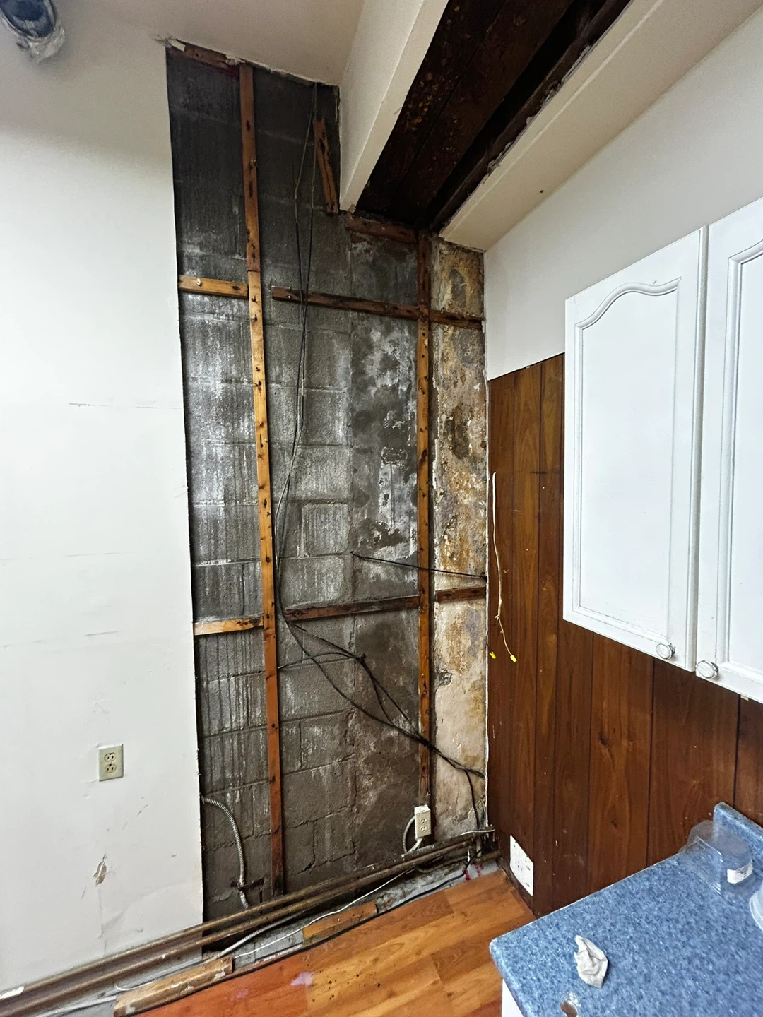 Professional Mold Remediation - photo 3