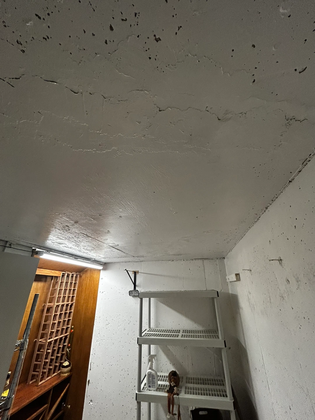 Professional Mold Remediation - photo 5