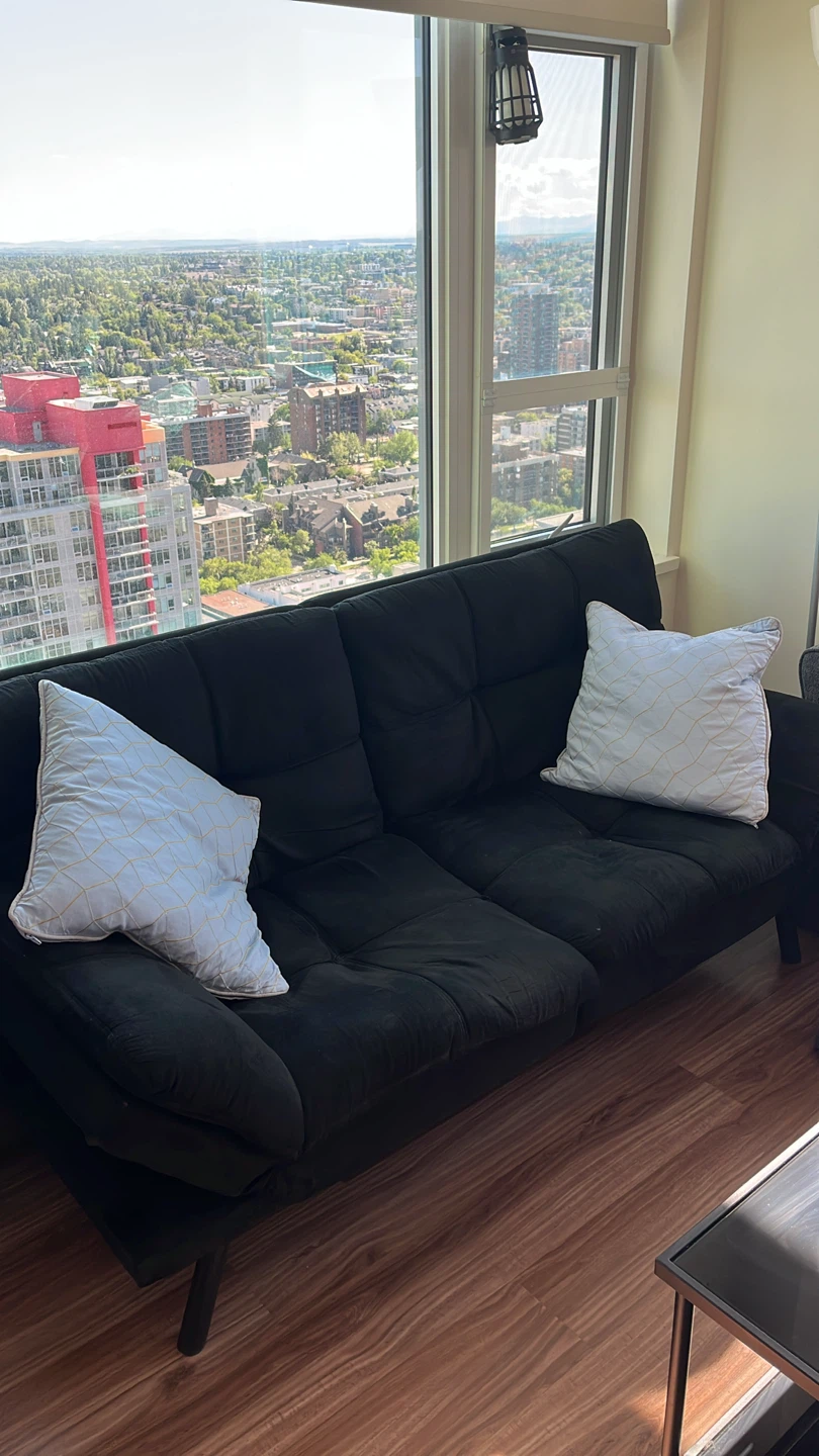 Black Sofa Futon