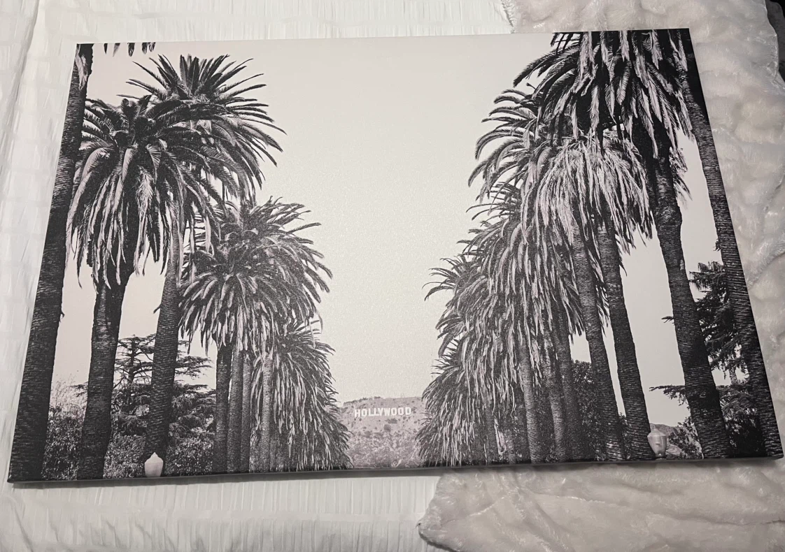 Hollywood Palm Tree Canvas Wall Art - photo 3