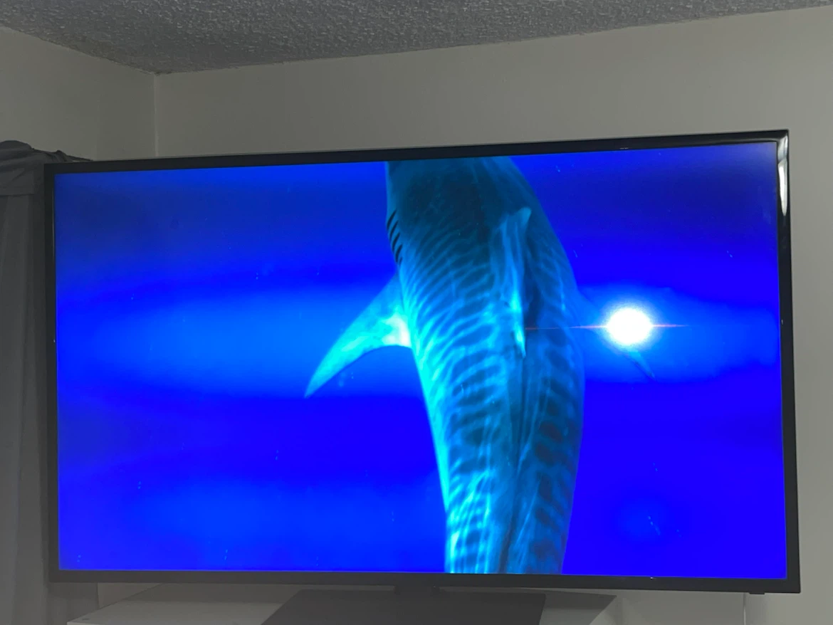 Samsung TV 43 inch