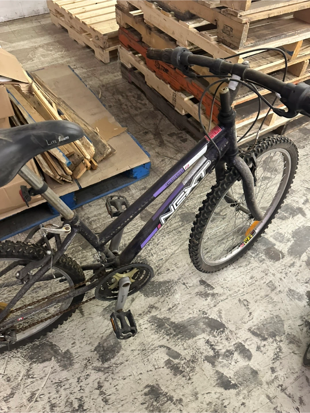 NEXT Kids Mountain Bike